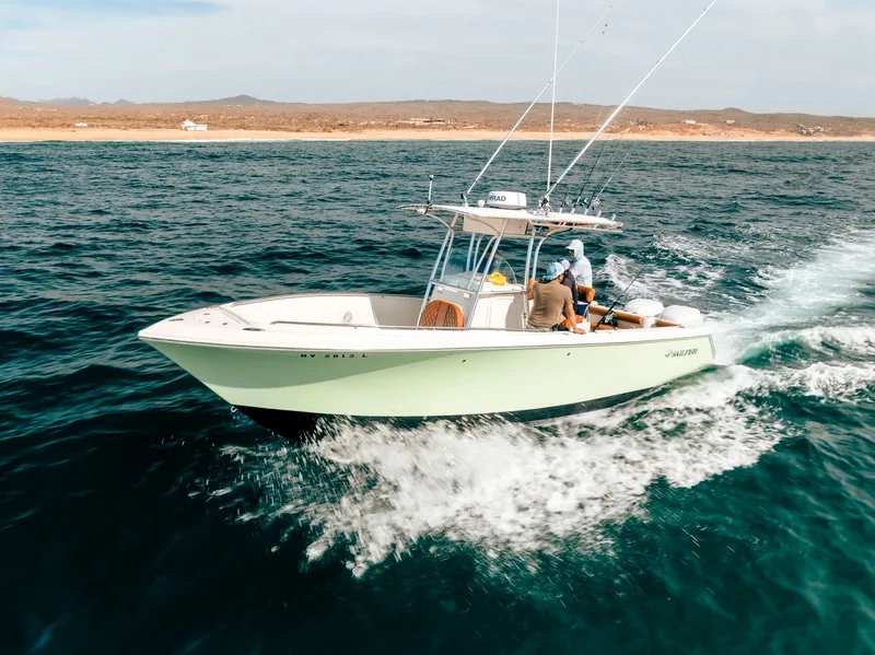 Sportfishing boat underway near a sandy coast Sportfishing boat underway near a sandy coast